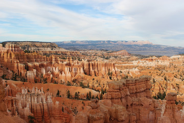 Rote Gesteinssäulen im Bryce Canyon