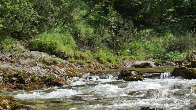 Wild Canyon River on a Summer Day