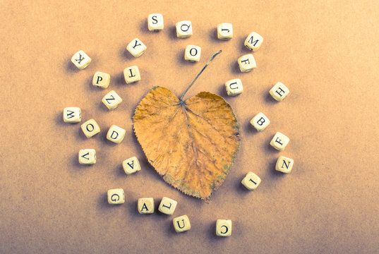 Letter cubes of made of wood around leaf