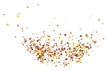 Autumn leaves isolated on white background 3D illustration