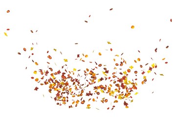 Autumn leaves isolated on white background 3D illustration