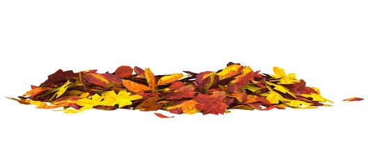 Autumn leaves isolated on white background 3D illustration