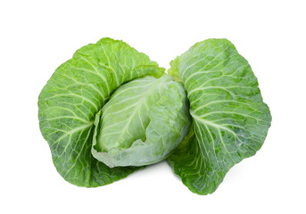 Obraz premium fresh whole green pointed cabbage isolated on white background