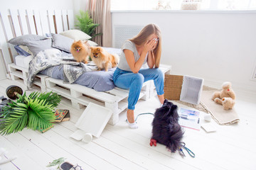dogs in the middle of mess they created at home