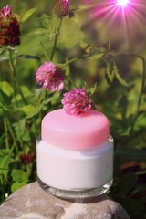 natureilkunde mit wiesenklee