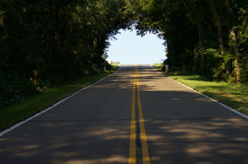 Fototapeta na wymiar Tree Lined Country Road