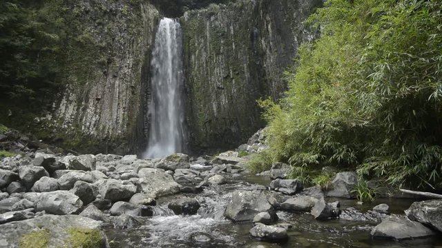 鹿目の滝（雄滝）と竹林