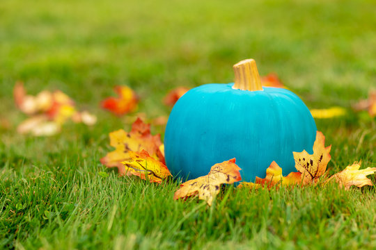 Teal Pumpkin Outside. Symbol Of Alternative Non-food Treats For Kids With Food Allergy. The Concept Of Health For Children In The Halloween Season. Halloween Allergy Friendly Trick Or Trinket