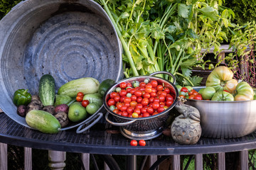Garden produce during Illinois summer, including tomatoes, cucumbers, potatoes, pepper, celery, basil and mint.