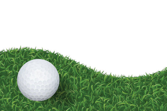 Golf ball on green grass texture background. Vector.
