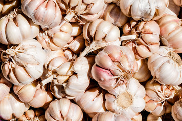 Fresh garlic background.
