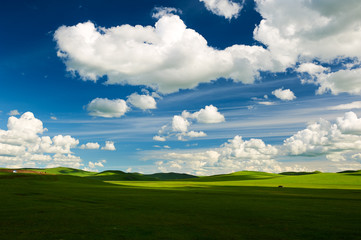 Fototapeta premium The cloudscape and summer grassland of Hulunbuir of China.
