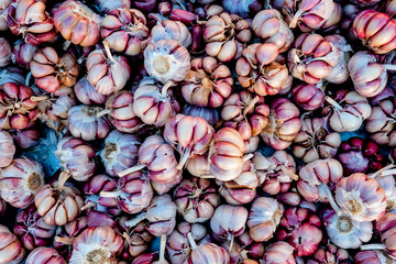 Fresh garlic background.