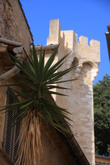 Obraz premium tour et créneaux du chateau de Cagnes sur mer