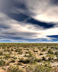Sonora Desert Arizona