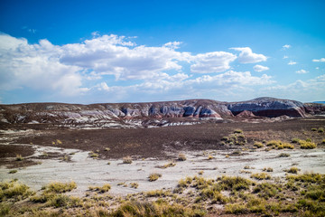 Fototapeta na wymiar The Blue Mesa Trail in Petrified Forest National Park, Arizona