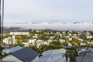 Obraz premium Wellington in a foggy day, New Zealand