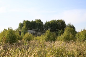 Obraz premium Landscape with rolling hills. 