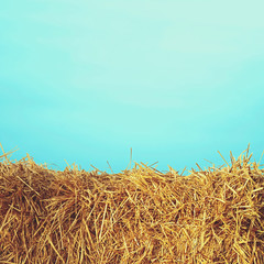 Fototapeta na wymiar hay with color background