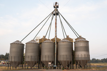 Grain storage tanks in the field.