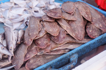 Fresh seafood in blue plastic basket for sale at the fish market in Bandar Abbas, Iran.