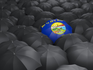 montana state flag on umbrella. United states local flags