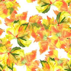 A seamless pattern of watercolour autumn grape vine leaves on a white background