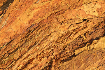 closeup of photo, dry tobacco leaves in the market