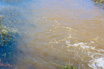 The surface of the water in the river.