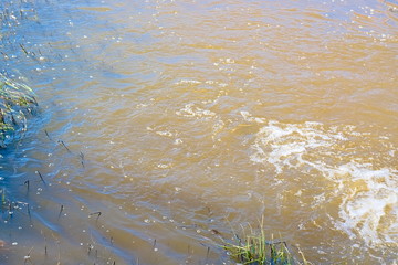 The surface of the water in the river.