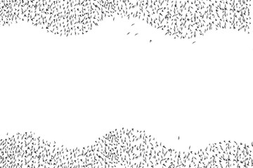 A flock of bats are flying isoalted on white background