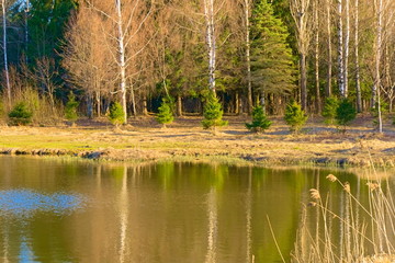 Lake and forest on the banks in early spring.