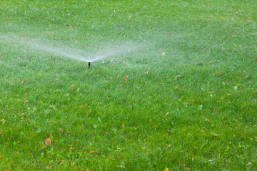 Watering the lawn with a nozzle