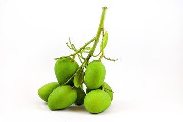 isolated many green mangoes in the basket on white background