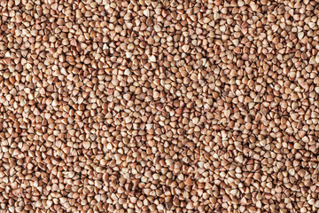 Roasted buckwheat grains background
