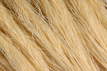 closeup of photo, vermicelli pasta