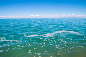 Contaminated Qinghai Lake, China