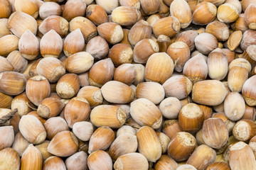 Many brown hazelnuts format filling as a background