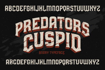 Vector vintage typeface with scratched old texture effect