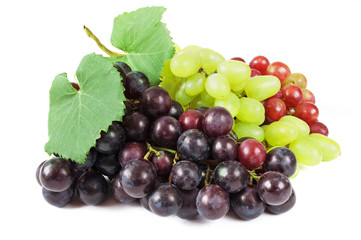 different sorts of grapes 