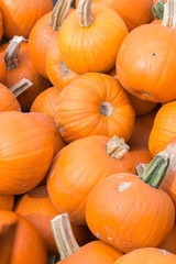 Closeup orange pumpkins