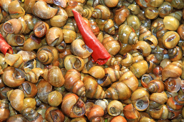 chinese Characteristics food -- cooked snails