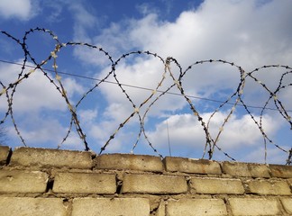 свобода, небо,, забор, колючая проволка