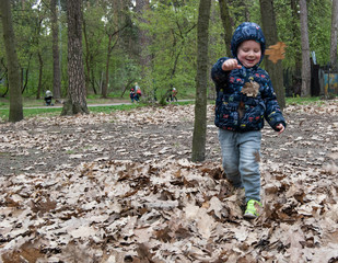 Little boy is playing with dry leaves in the park.