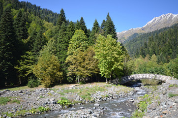 View of the mountain river Atsetuka Abkhazia