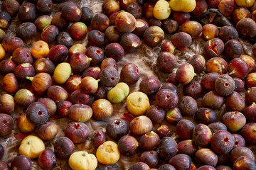 Ripe sweet figs. Healthy central asian fig fruit. Top view