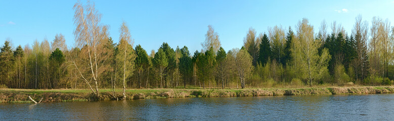 Fototapeta na wymiar Grove on the shore of the pond in the spring. Russia.