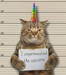 The bad cat impersonated the unicorn. He was arrested for it. © iridi66