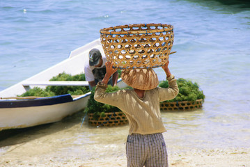 working woman at the beach