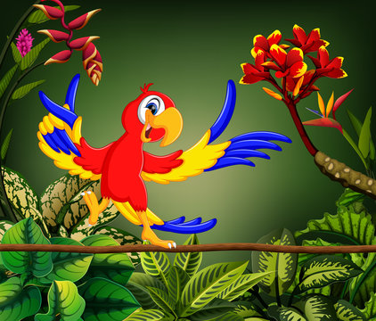 the cute parrot sings the song in the forest 
